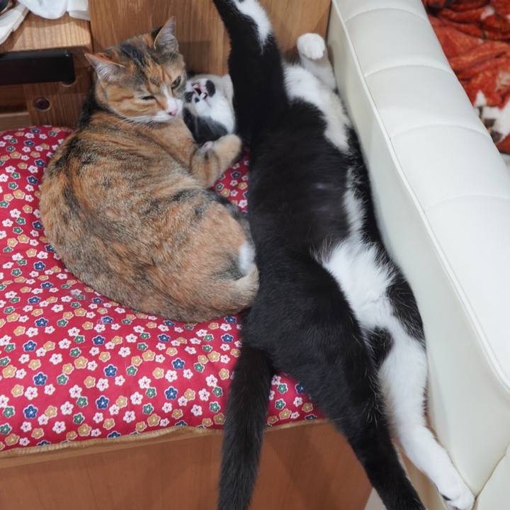 14c542bd 14dc 4066 a86c 9c3e63bd5ff3 1584956143210