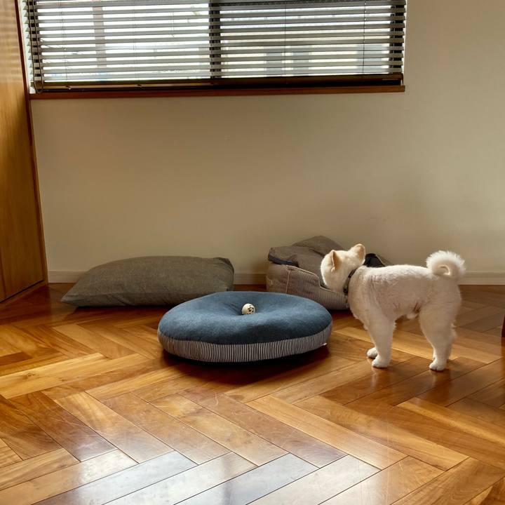 14c56f40 a5ec 4625 8ac5 0795942becc3 1623036416693