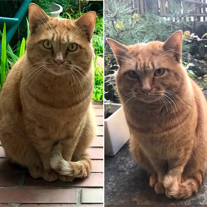 14c59ced 4e47 4bcb 9502 c8b950eb0c8a 1608280843496