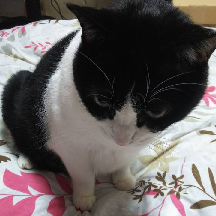 14c5f943 04dd 4173 973e a47197abdc7f 1543269176685