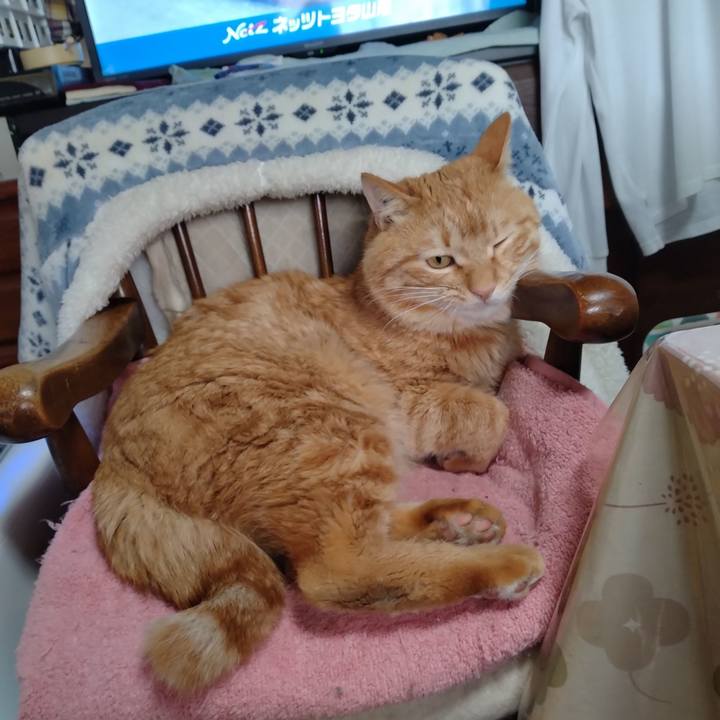 14c611b1 d06e 4db3 b0ca 979a7ec0c8ee 1675302056143