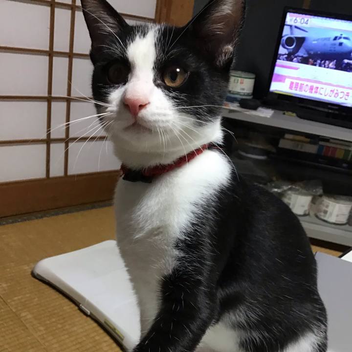 14c62808 914f 4317 9c9a 2b3e9cc1ca11 1629192679886