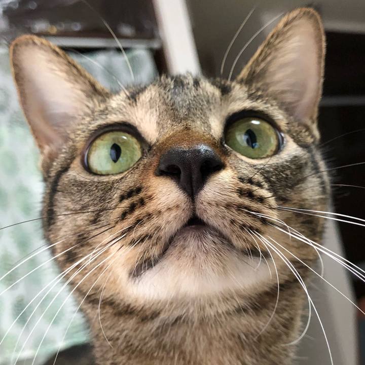 14c67579 e9af 454e aada 0d14d1f8cdcd 1537958658631