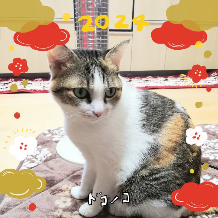 14c6a51c 21ab 4949 bb01 dddc46c00414 1704071387478