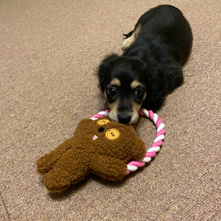 14c6b167 95f3 4e35 8086 703c850646e9 1664876424053