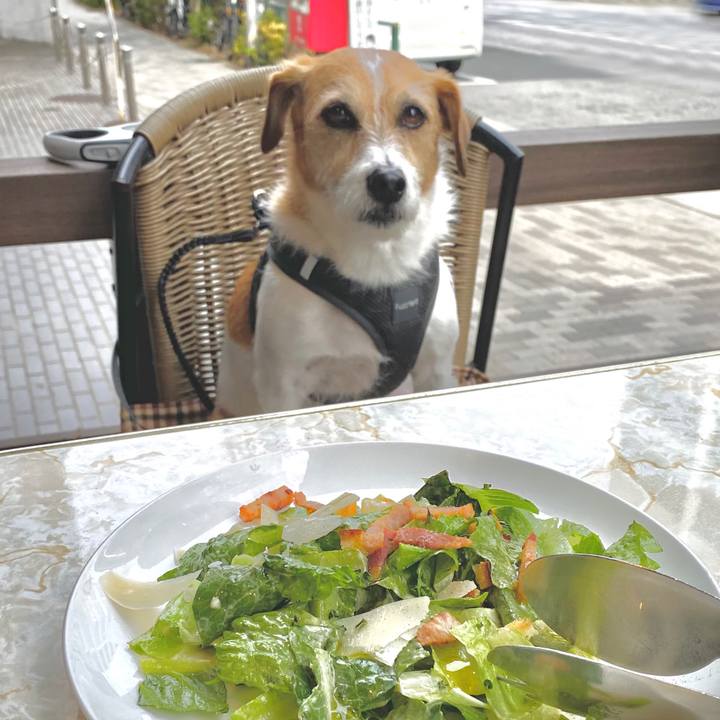 14c6e719 e9cb 4a87 8964 9e105020b1d0 1649155439682