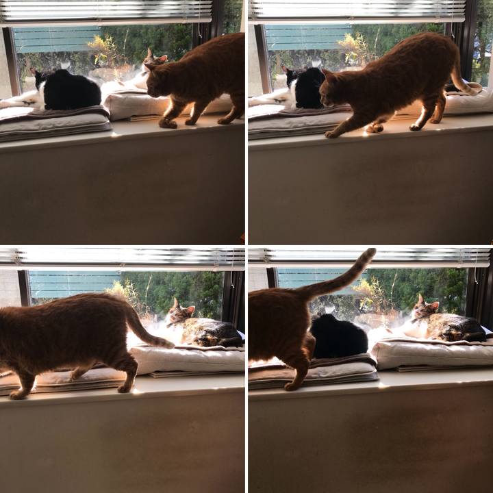 14c715fd 1c78 4816 8e58 b010d22e4d0f 1514189136471