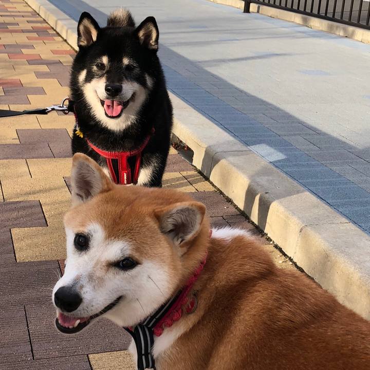 14c721fe b539 4194 ab38 36aa2c915064 1536016811843