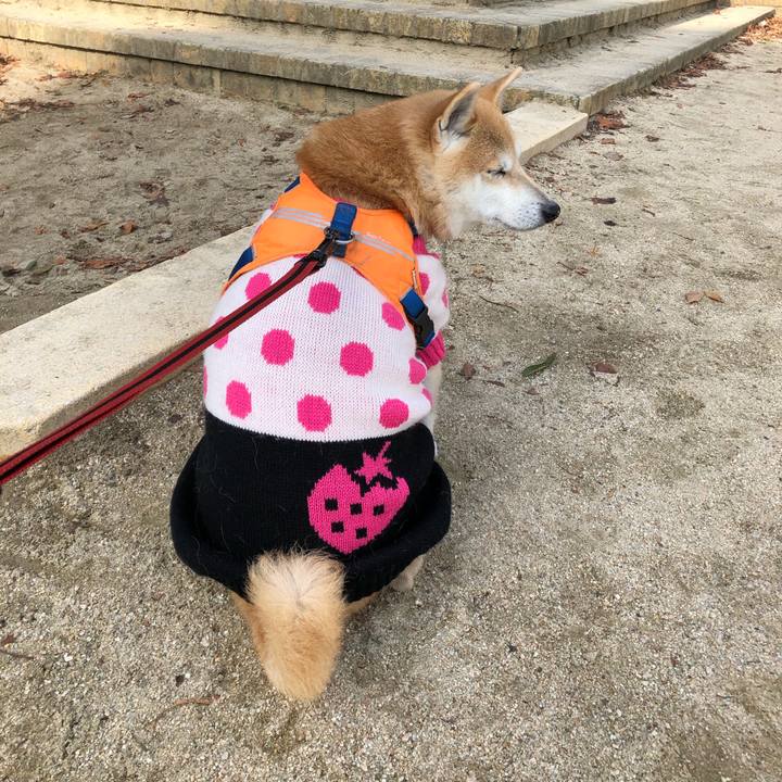 14c736f4 5208 4aa6 8556 2b751ce57aaa 1579179436954