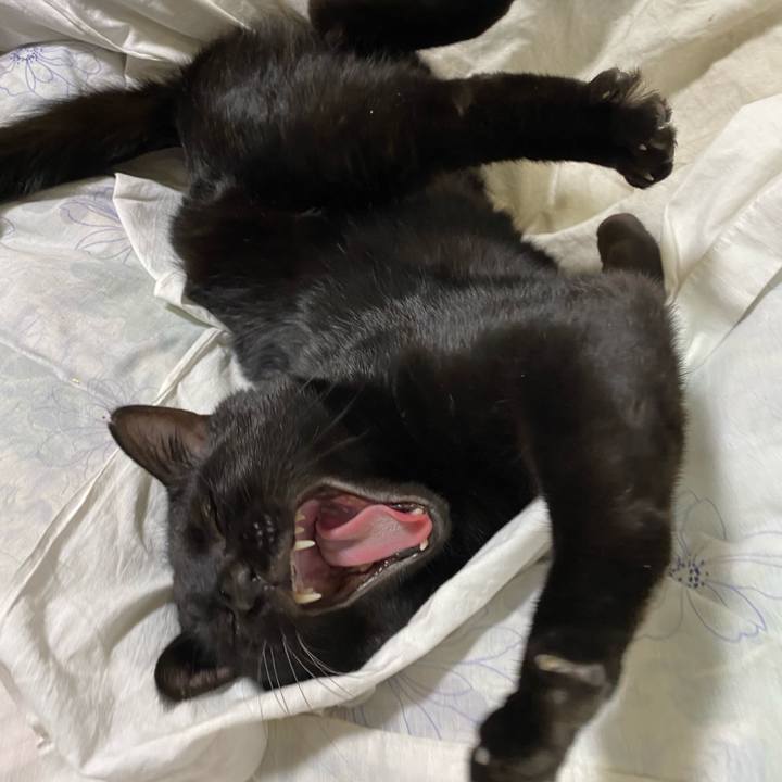 14c74863 ae22 472f 87e8 9d22dd585703 1611241074071