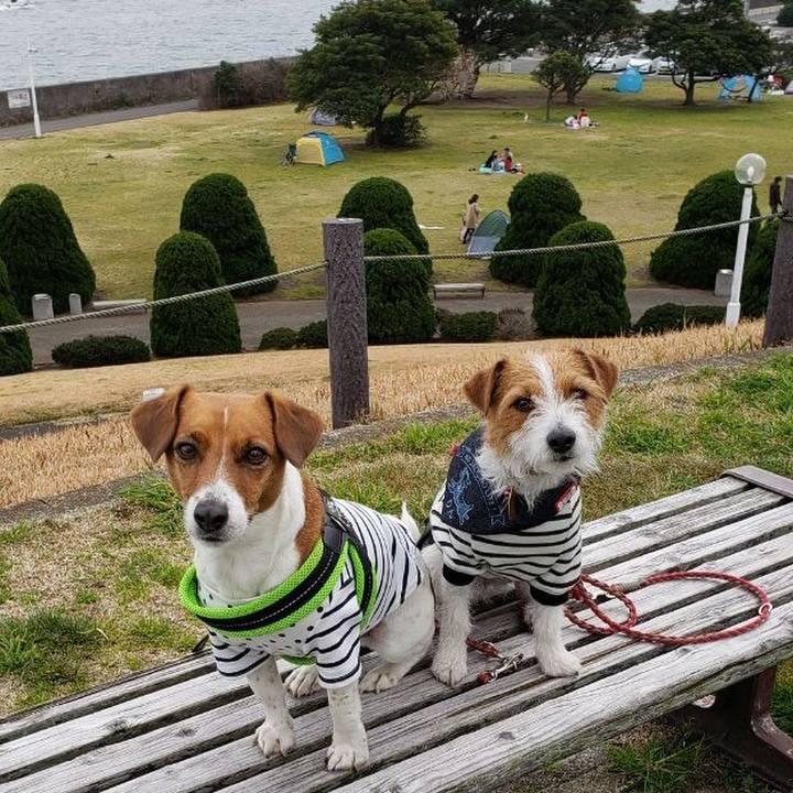 14c76535 7608 4f89 80a7 ad93d9a59b9d 1552263095397