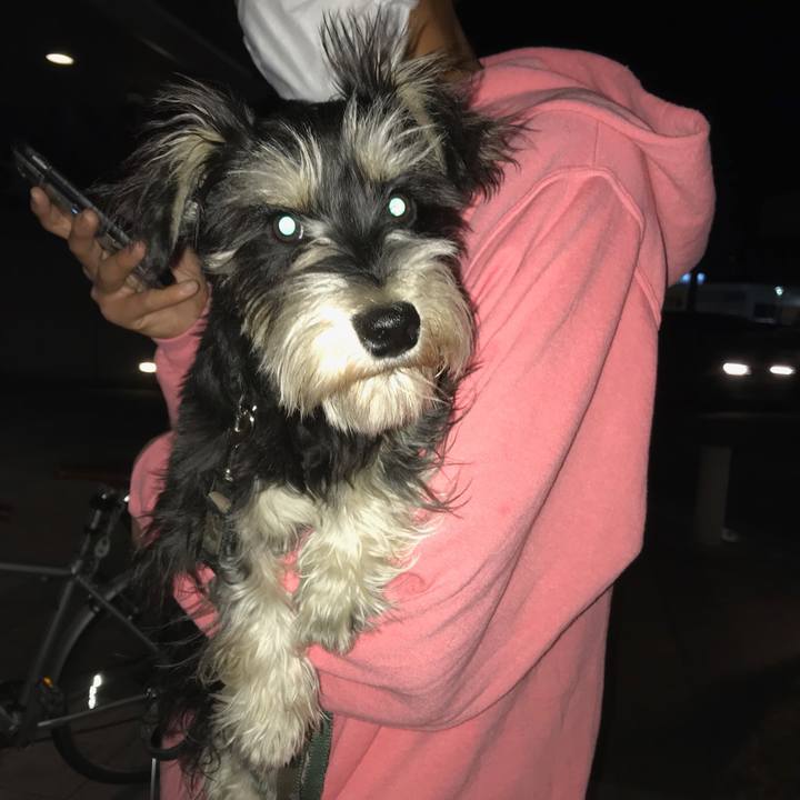 14c781b7 5cd9 4c9d b166 715569902c47 1555939354220