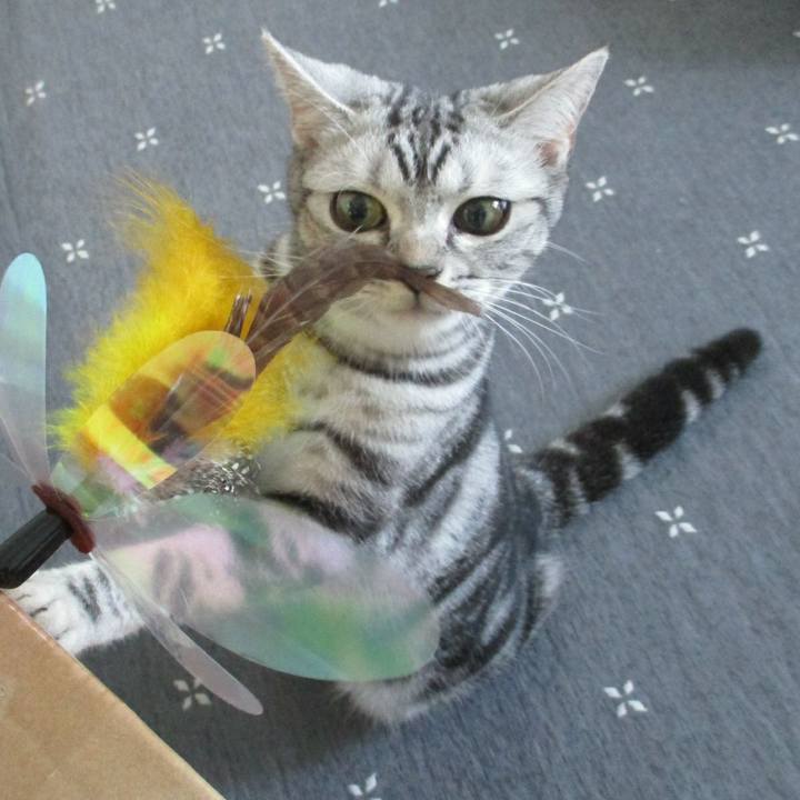 14c78b49 e481 4448 8c93 1f73700b967a 1554548289307