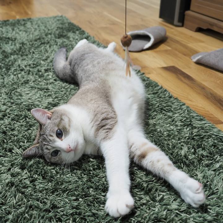 14c796d7 3cd1 426d bfc8 e8801951463d 1596858549525