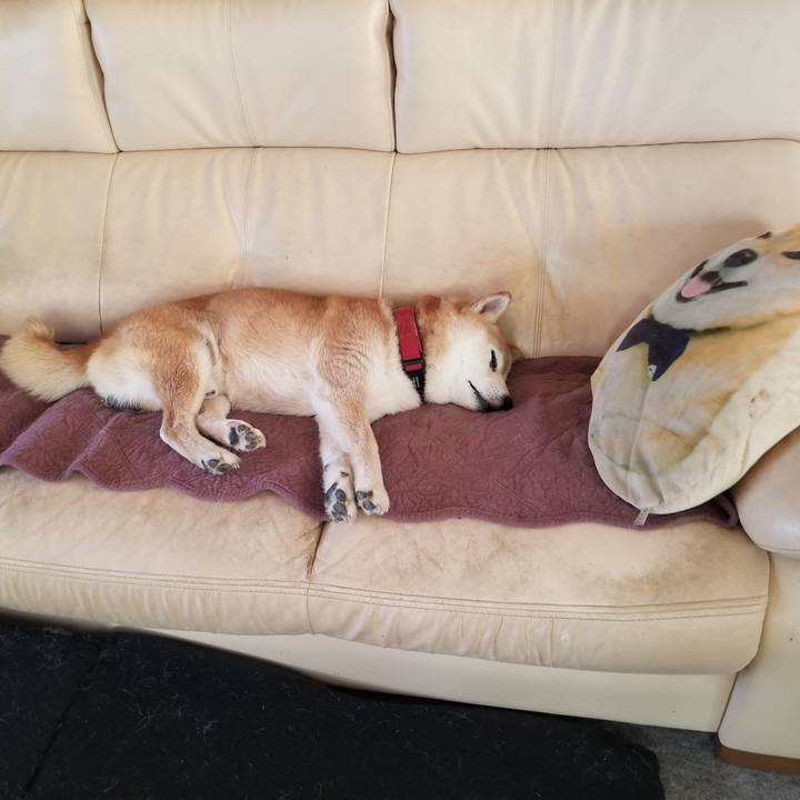 14c7b389 6548 4641 a958 43993e57ff56 1753401982625