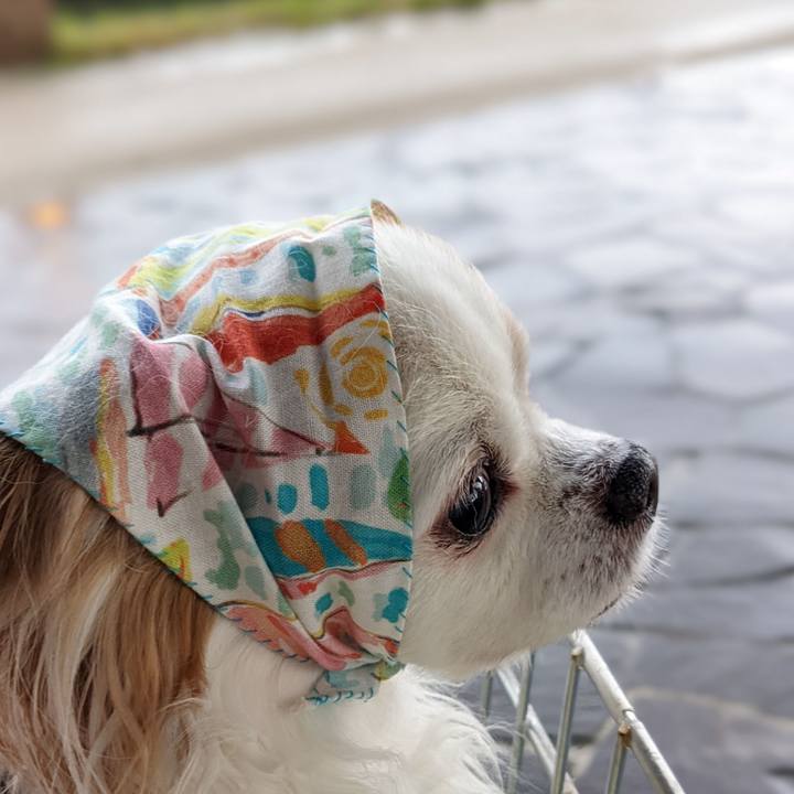 14c82d13 fb5e 4754 9a1c 77c958c20036 1654849451110