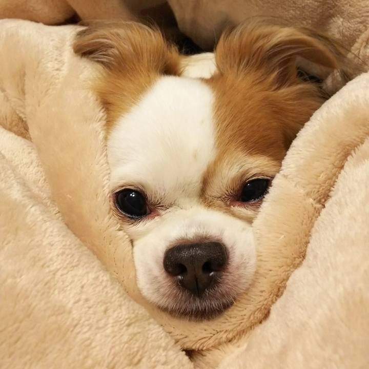 14c834c8 46eb 48d4 a315 f0ab6a30bbbd 1508513675255