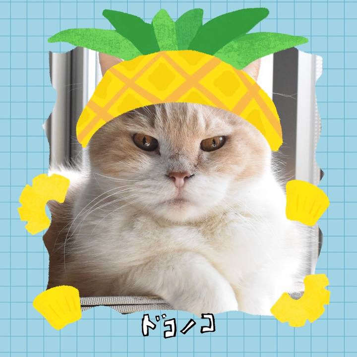 14c847c2 5ea0 411e 9391 72848163335e 1783309662931