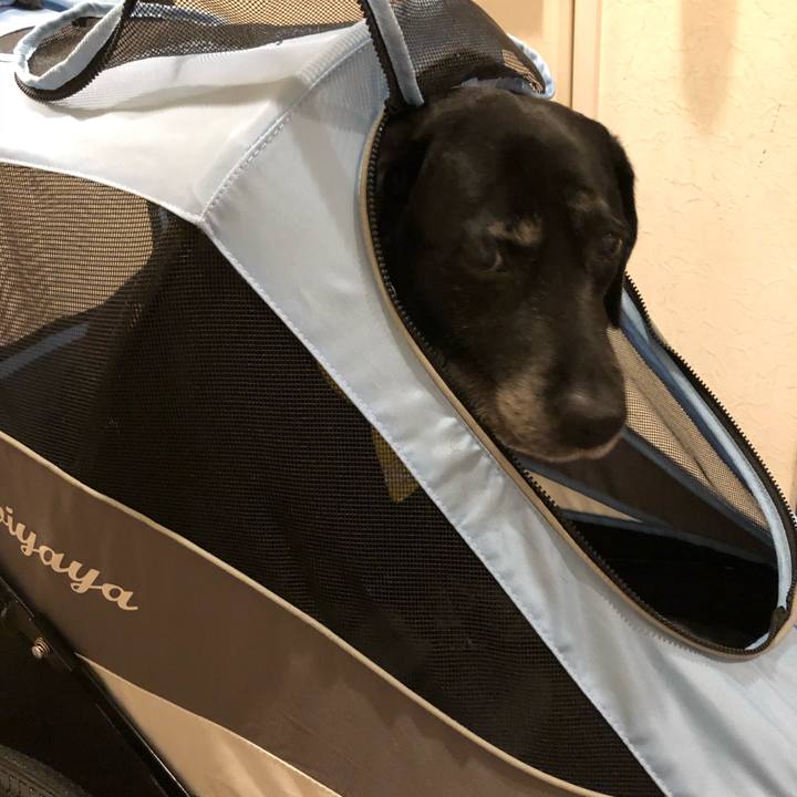 14c865e9 a861 44d1 ba8a 6748e37323f4 1597408162271