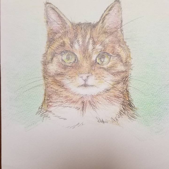 14c86dda 2eb4 4197 918c 0e4f3feb1110 1586433082681