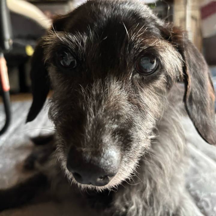 14c87291 74f2 4711 b580 37a13e13af22 1751584559917