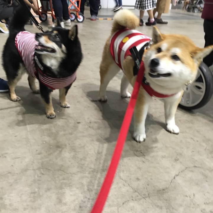 14c88401 4933 460c 9784 e21f46996156 1590808068067