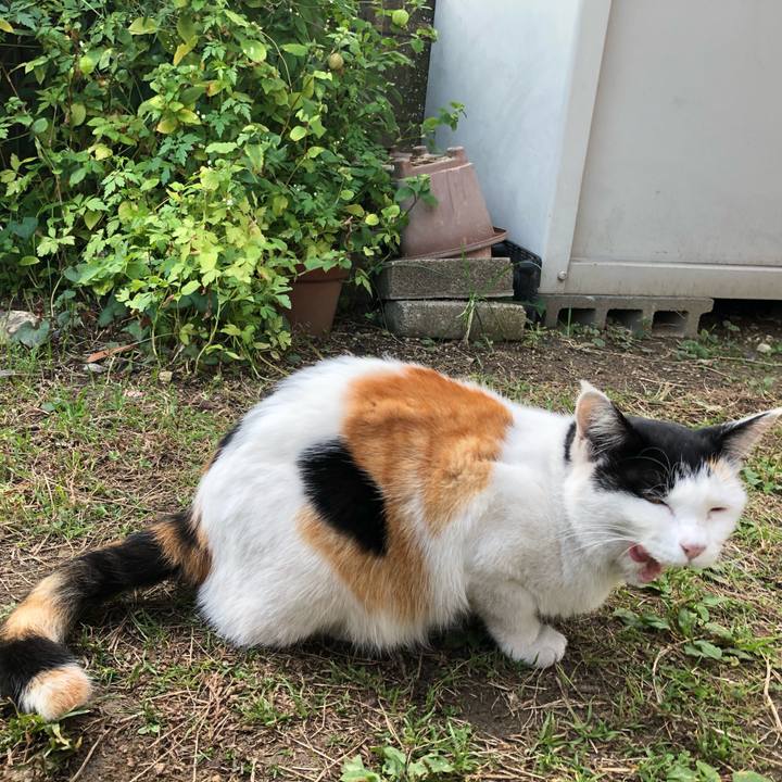 14c88694 6c4d 44fb b8b0 e585e503578b 1604009969021