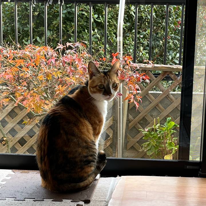 14c88b4b fa96 403f a300 0facb8dacbc7 1734689912754