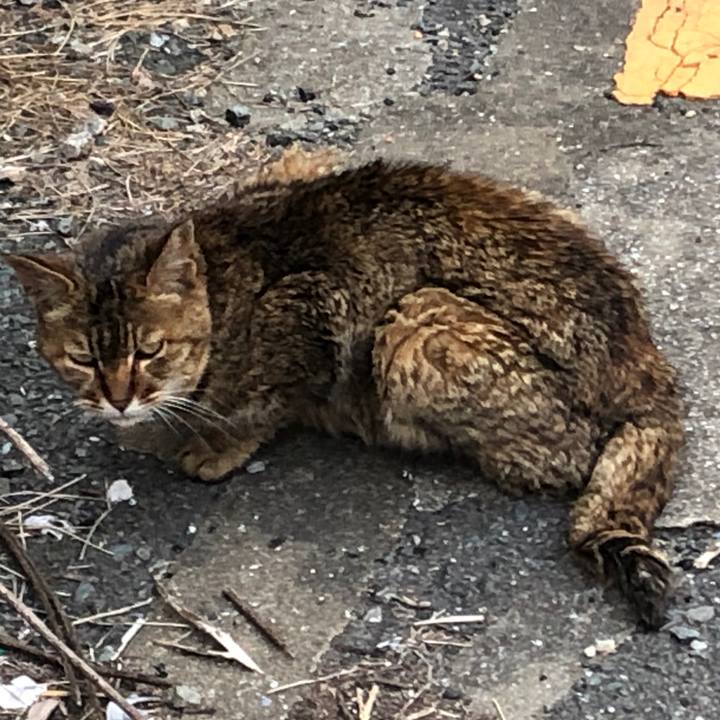 14c89227 ef69 414f b1d1 1f6c7800f94a 1655625539726