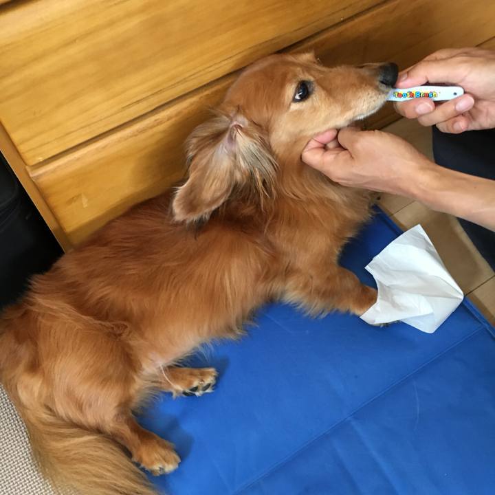 14c8e83e 5478 41ec a08c a5919f261d78 1559483653599