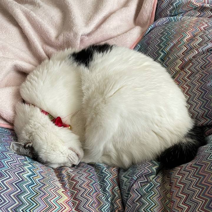 14c8f3c9 0fb5 4da8 afd8 76a7b9df5f31 1617146035429