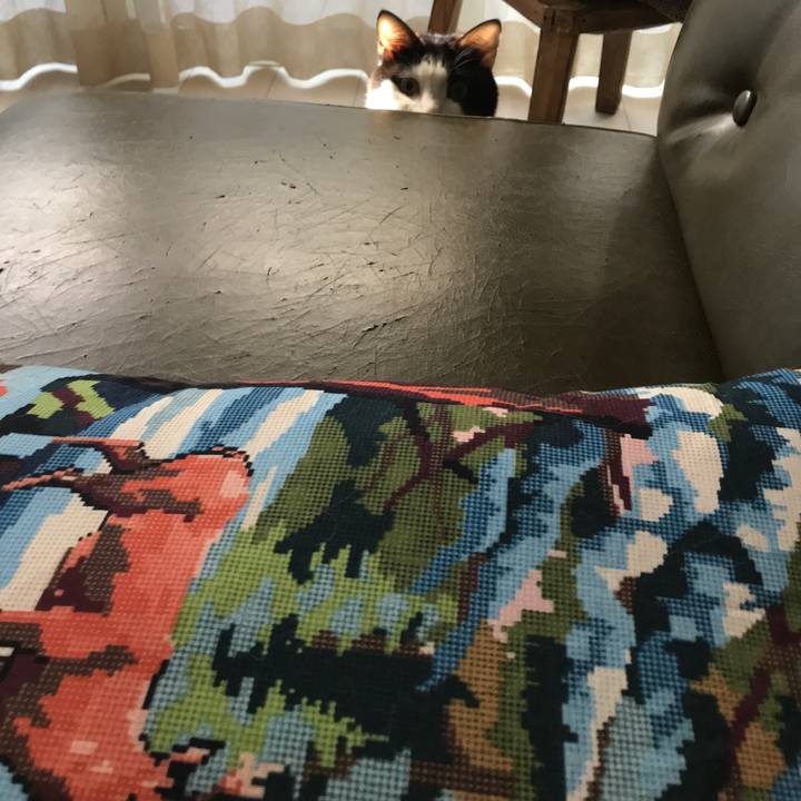 14c8f6f0 c186 46d5 a65b 84ea490522b4 1519963056705