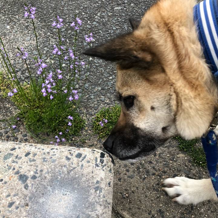 14c8f9e1 ba22 41c4 834b 44357e4e9274 1556278469578