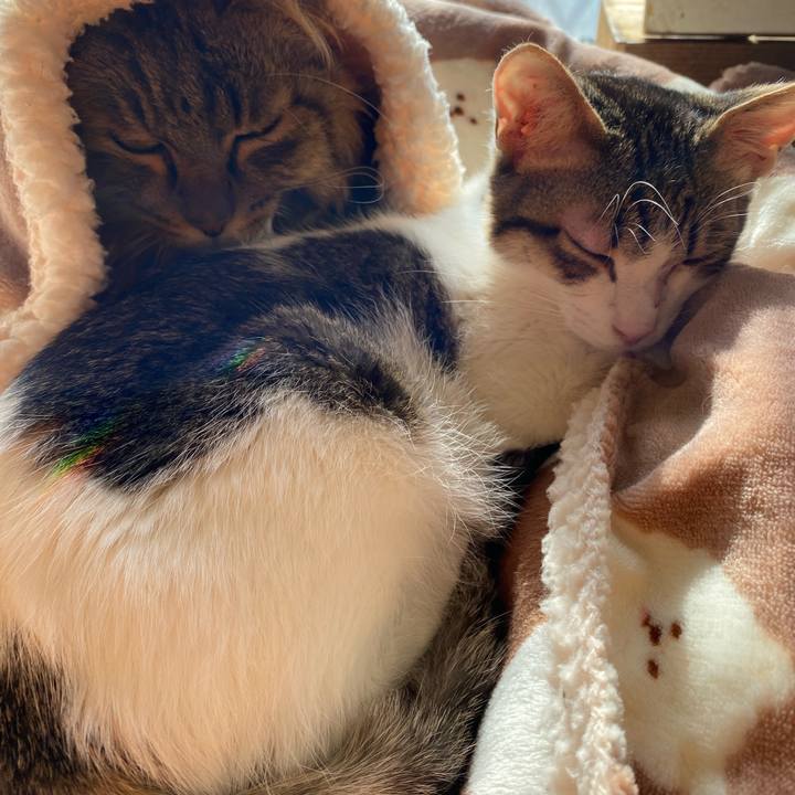 14c90fdb bf5a 41ec b241 d1b32047f79c 1705463239964