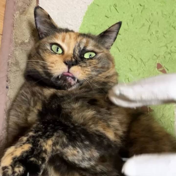 14c93c3b aaf1 4182 beb3 1e67c88fab74 1731698494925