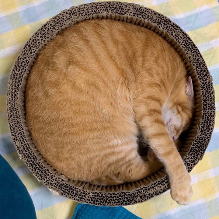 14c9528e 2b3e 4ad5 b9cb 016b0c0907f0 1558783663603