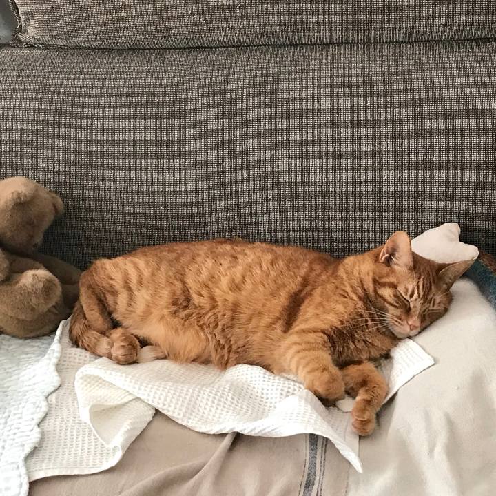 14c97aa5 a701 49a6 879d df58f2baec63 1521263342682