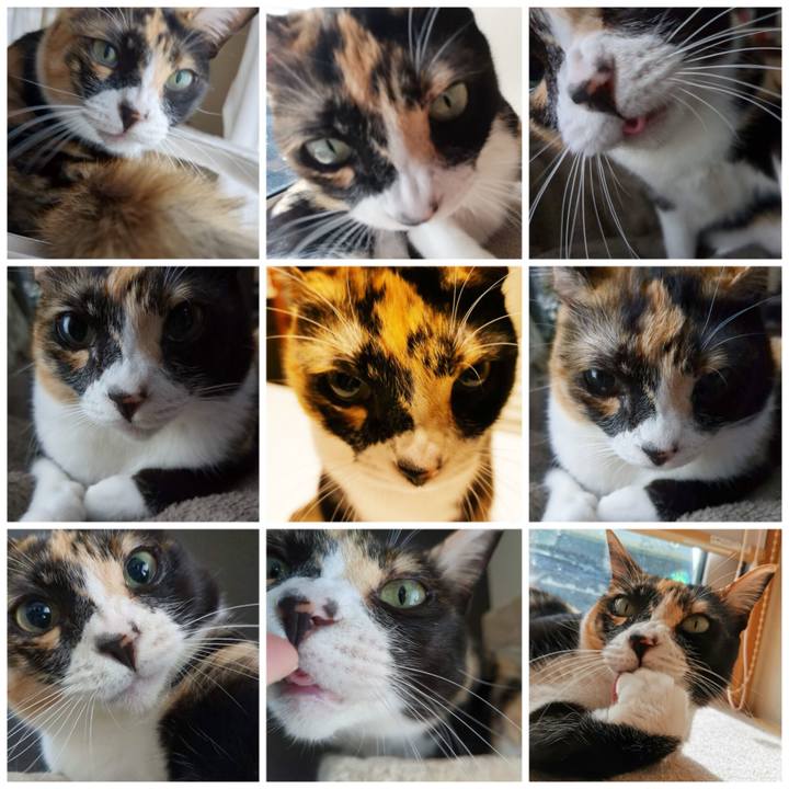 14c9a4a3 5188 49db 9271 56bd2c8b37b2 1682655703751