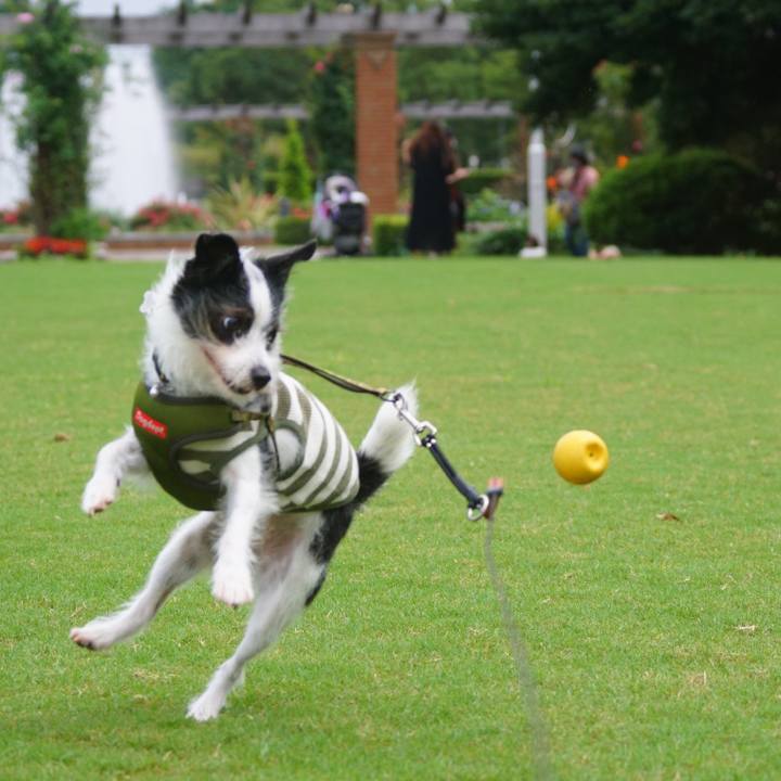 14c9ae3e 3b2b 450f 9e1e 8dea0c097f4e 1596102720419