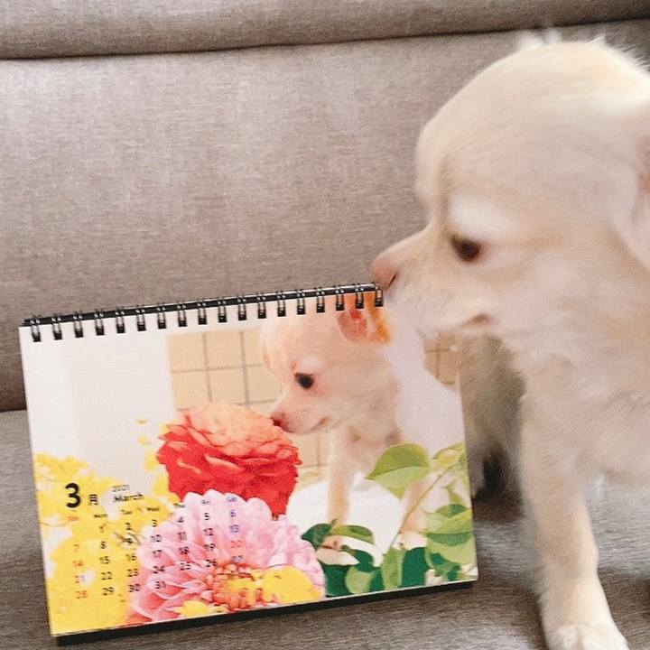 14c9e47b 033d 471d 8a2e abb7ca730d81 1614580349928