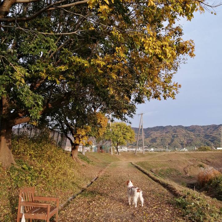 14c9ebdd af20 404a 8999 74ef9e32ce2d 1574941720260