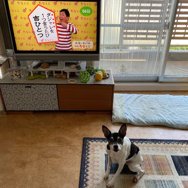 14c9f751 c217 447b a9cd ac2988771700 1591569158771