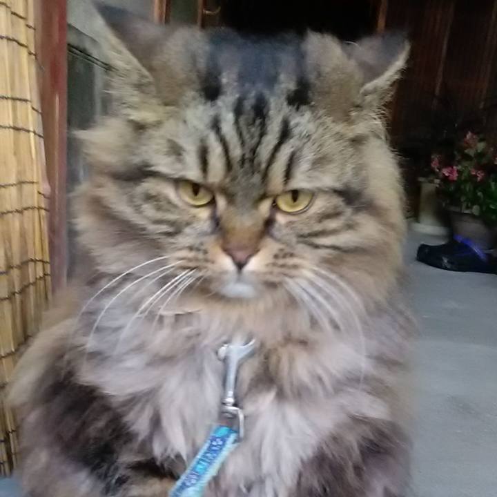 14c9fe36 388a 43bb 891b 4f3fa40eac92 1641435295043