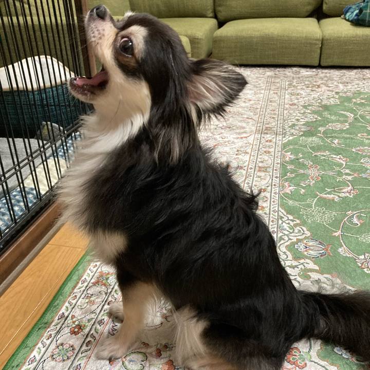 14c9ff11 202d 4b51 ad70 fa04811e053c 1662901946322