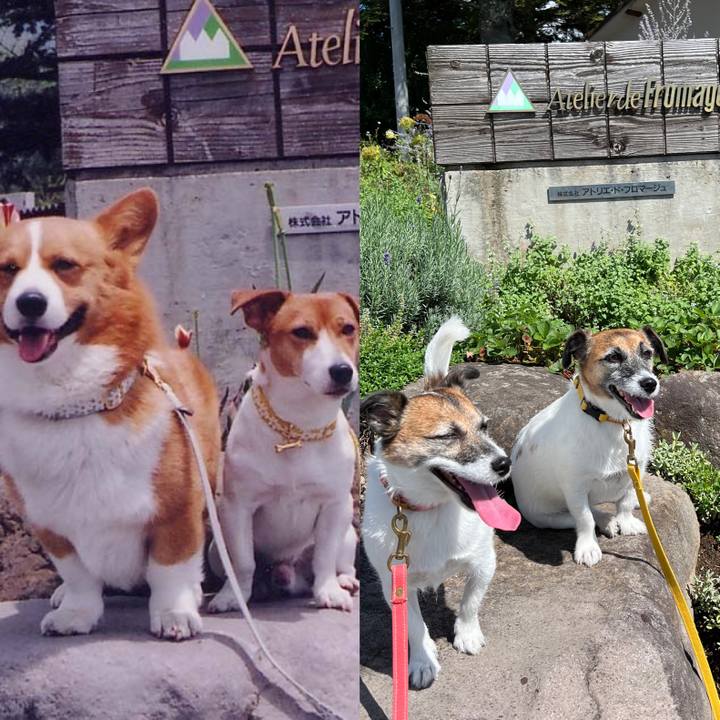 14ca1f86 7cc7 4a53 8c57 f95ce9e5372e 1726322049328