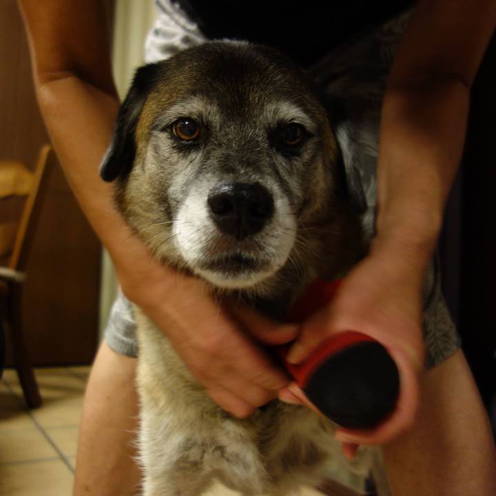 14ca2a6b 9bff 46d7 882c 4a61de830191 1534244953630