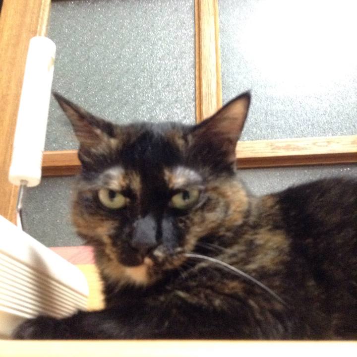 14ca603f 5bd0 42e9 b2d7 bb3e930de988 1534284474208