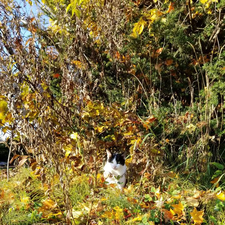 14cb0699 beb8 4f39 9dd4 fd45eef3b5b5 1571967095820