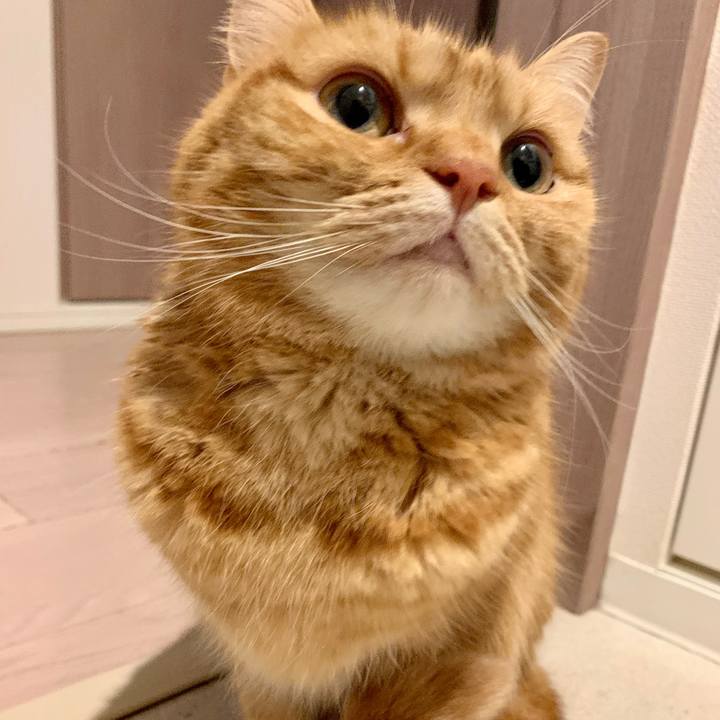 14cb4c5b 88f6 468e 854d ff1f6dc207a7 1616117598027