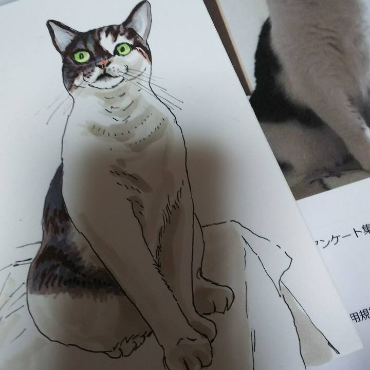 14cbbcd5 c7f8 4793 a5e6 6326d8397fac 1538810568132